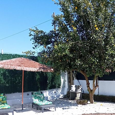 Casa Amelia 1ªp A 50 M Camino De Santiago Villa Padrón Eksteriør bilde