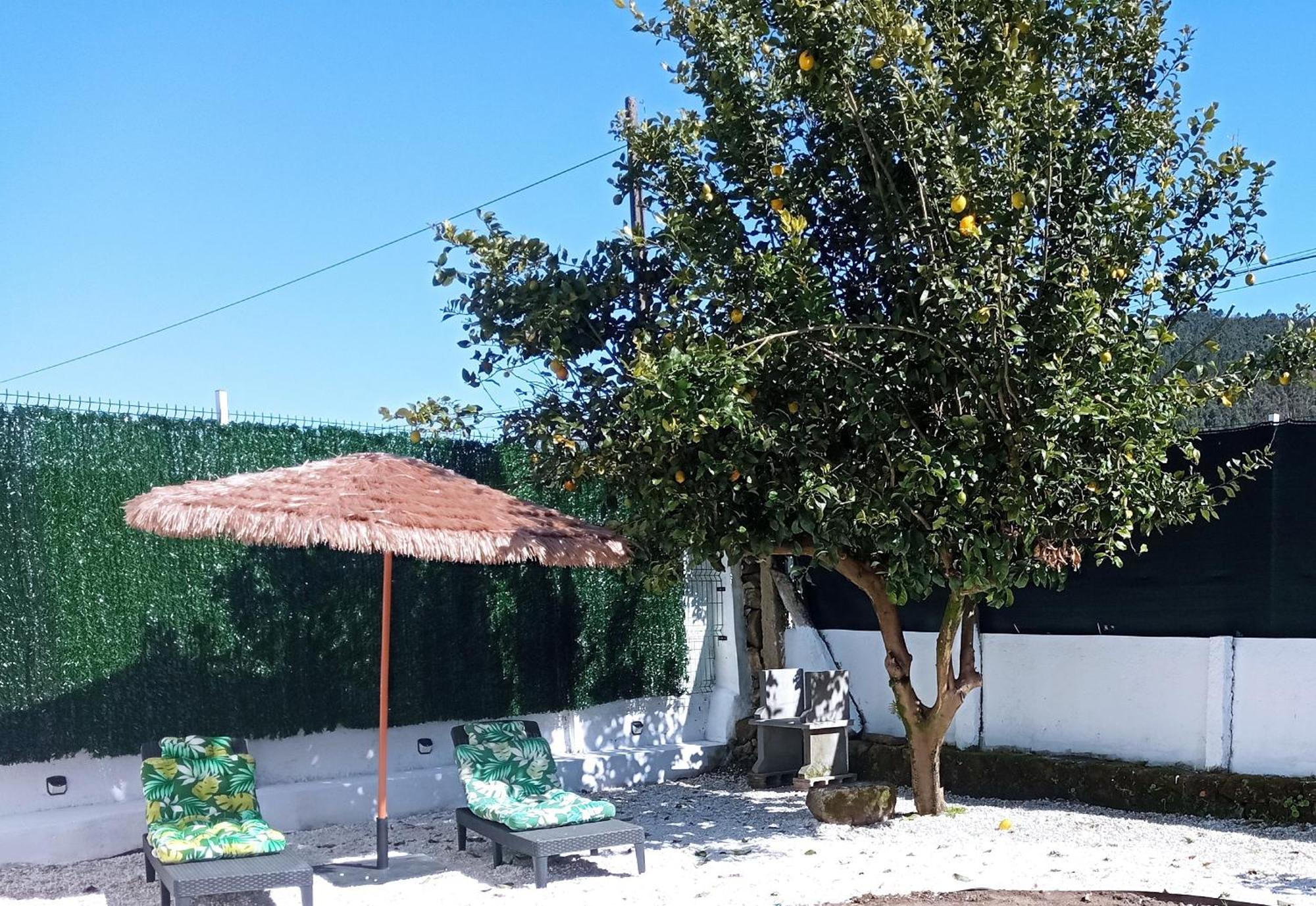 Casa Amelia 1ªp A 50 M Camino De Santiago Villa Padrón Eksteriør bilde